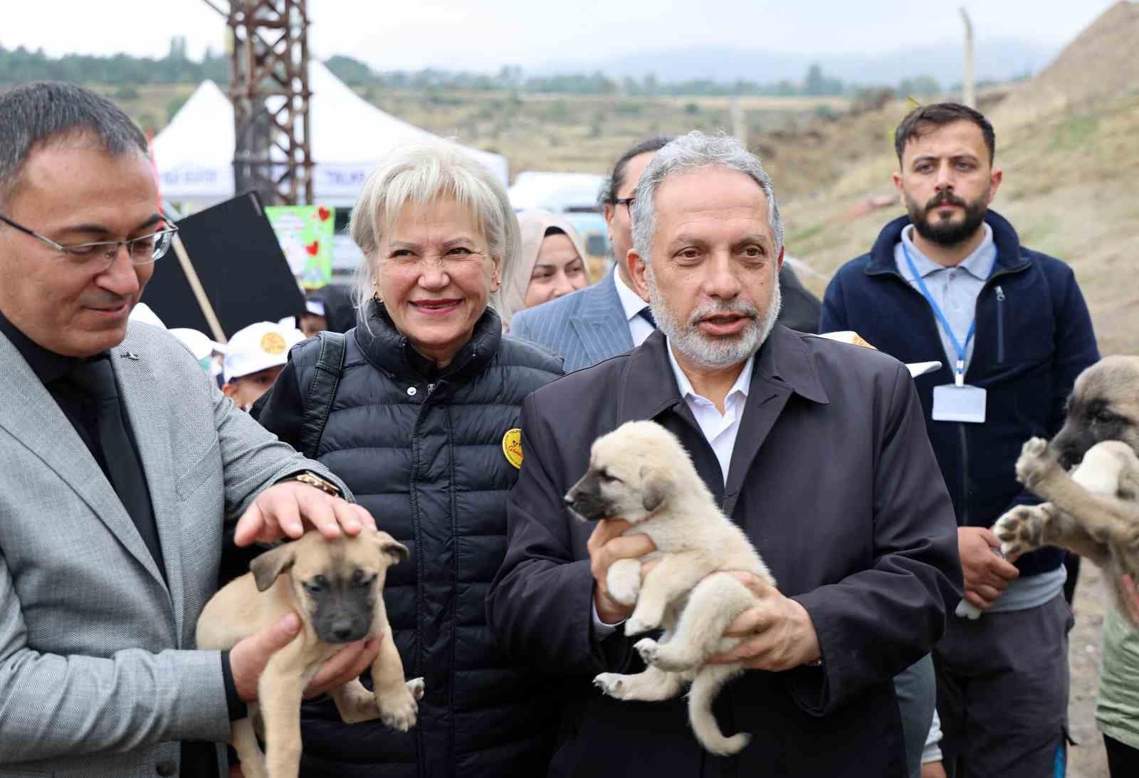 Hayvanları Koruma Günü, Talas Pati Evi Doğal Yaşam Alanı’nda kutlandı
