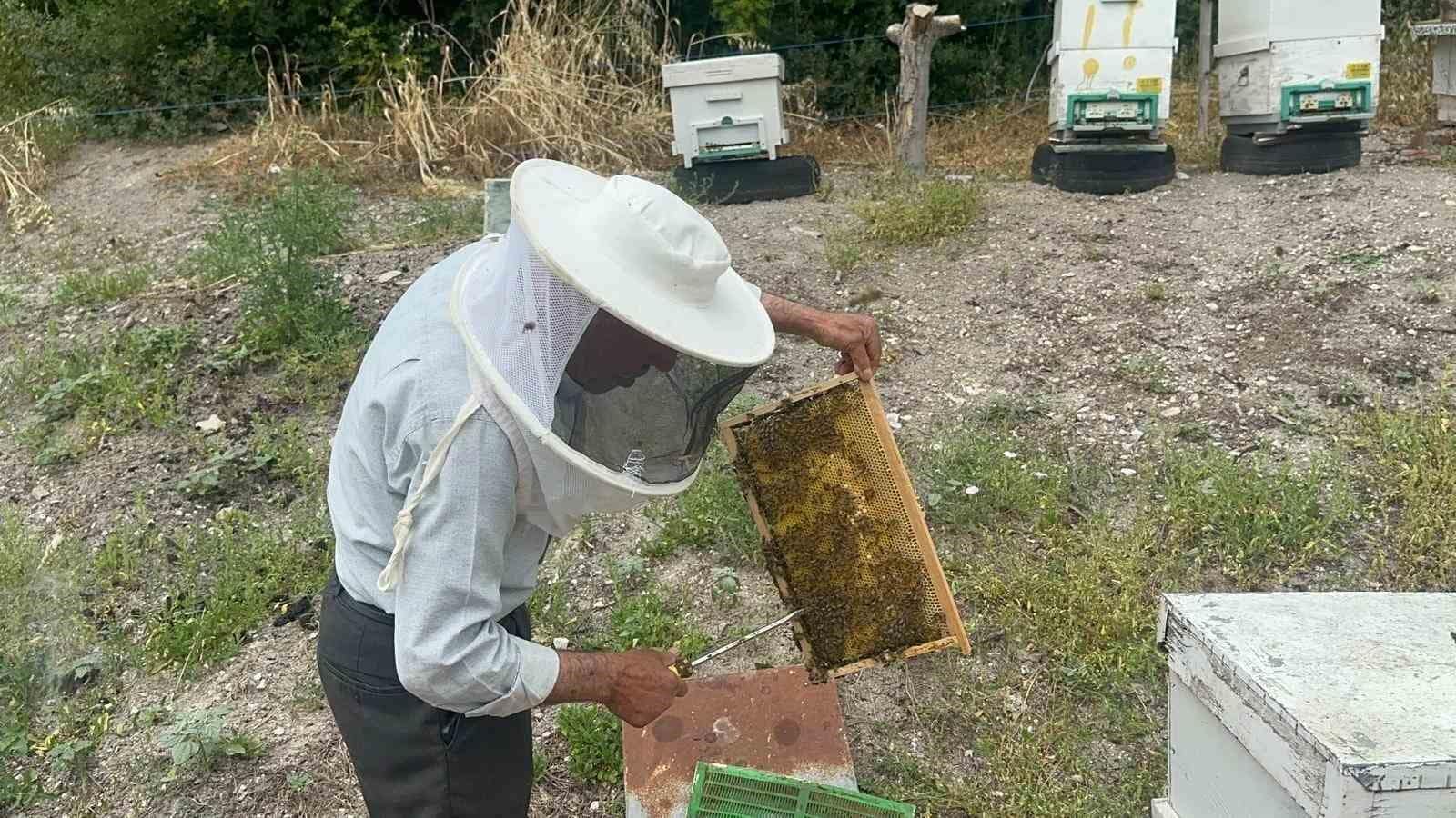 50 yıllık arıcı emekli başgardiyan 20 yıldır Avrupa’ya bal gönderiyor