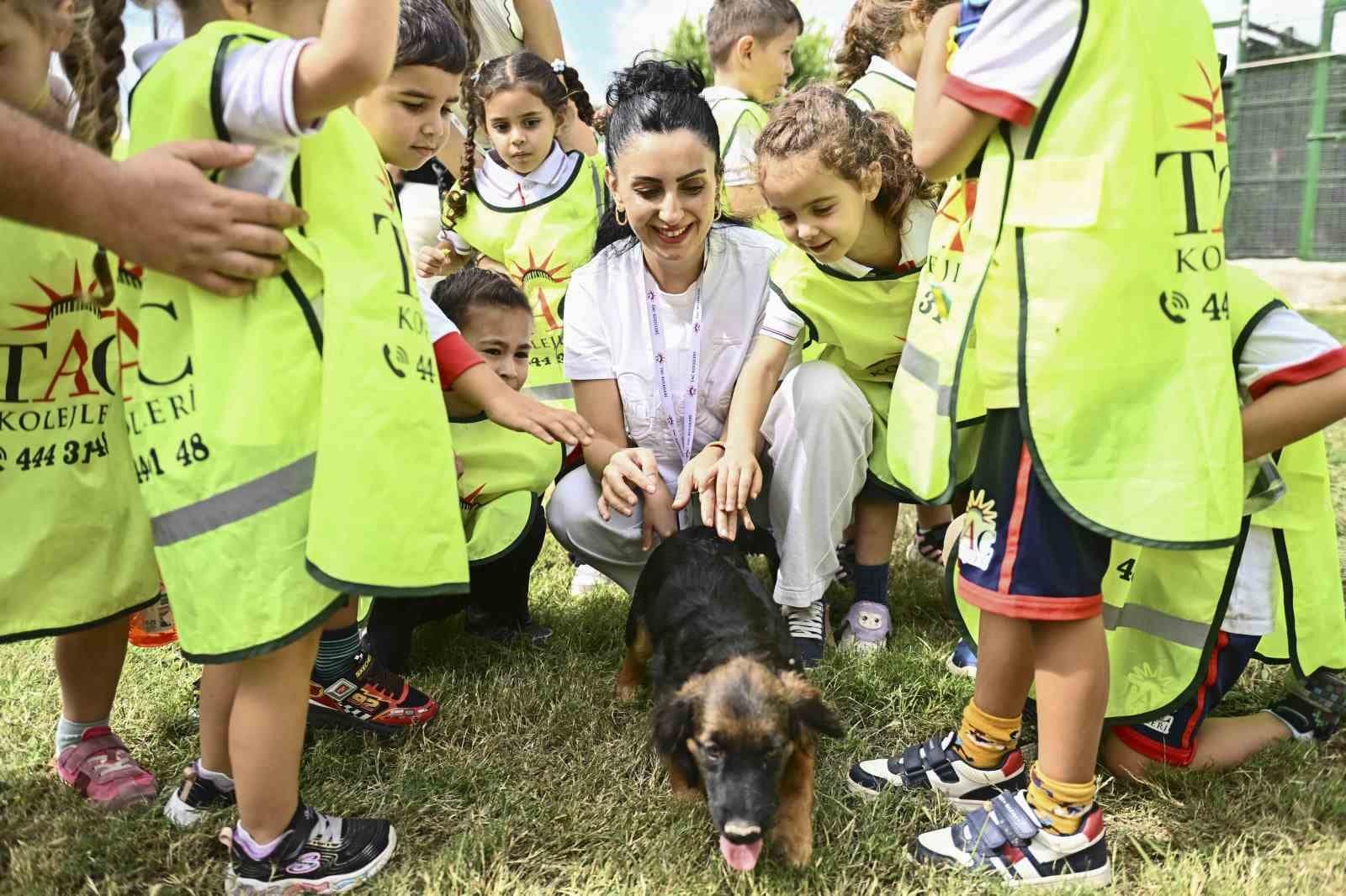 Muratpaşa’da 2026’da 287 sokak hayvanı yeni yuvasına kavuştu