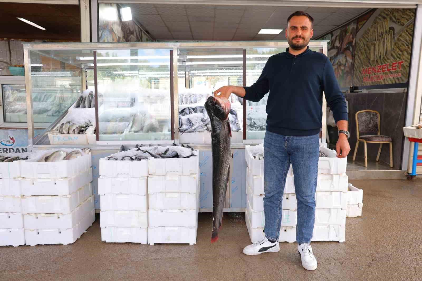 Denize kıyısı olmayan Kahramanmaraş’ta balık pazarı hareketlendi