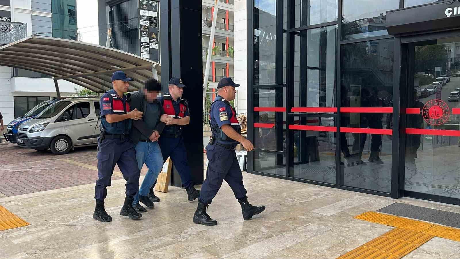 Alanya’da kuşlara yönelik vahşet kamerada: Birinin kafasını ağzıyla, diğerinin bıçakla kesti
