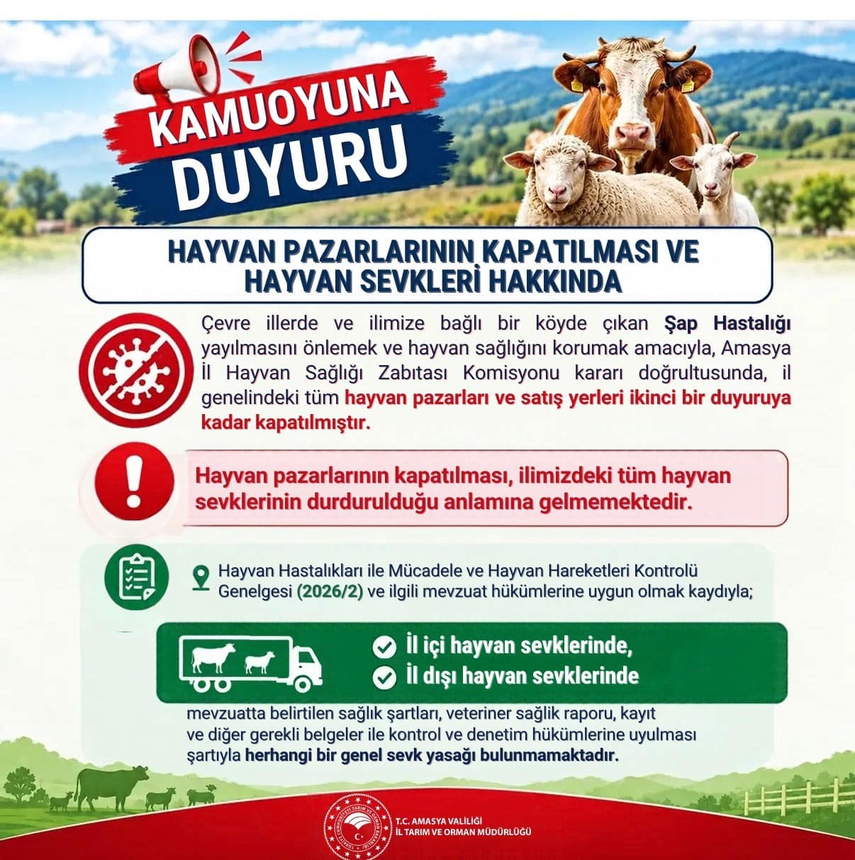 Amasya’da şap hastalığı tedbiri: Hayvan pazarları kapatıldı