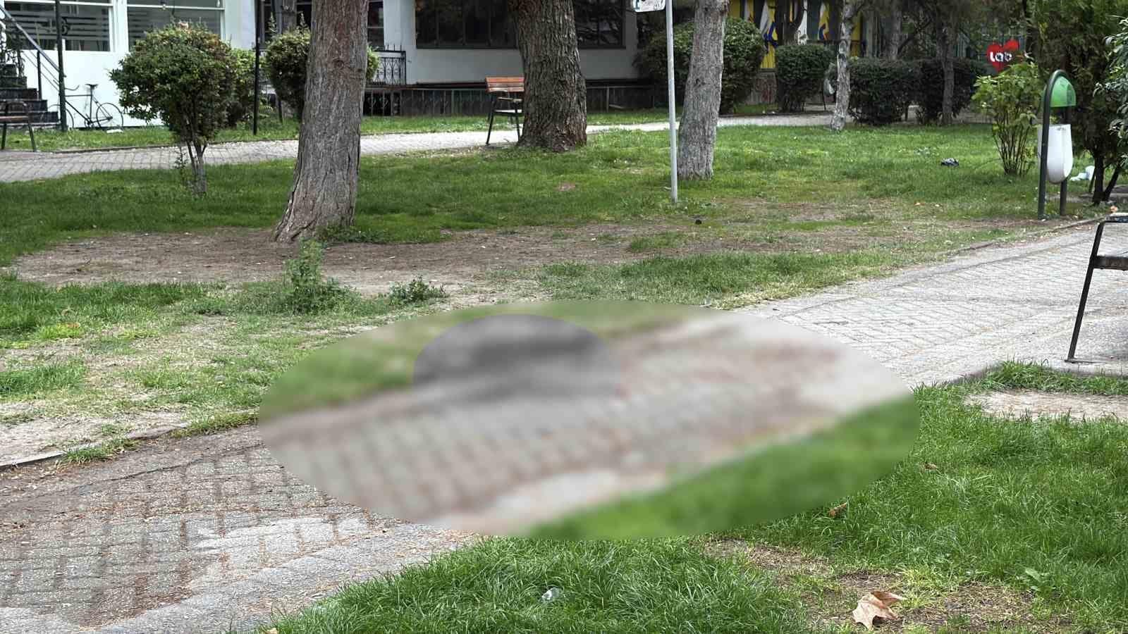 Alkol içerken çıkan tartışma cinayetle bitti