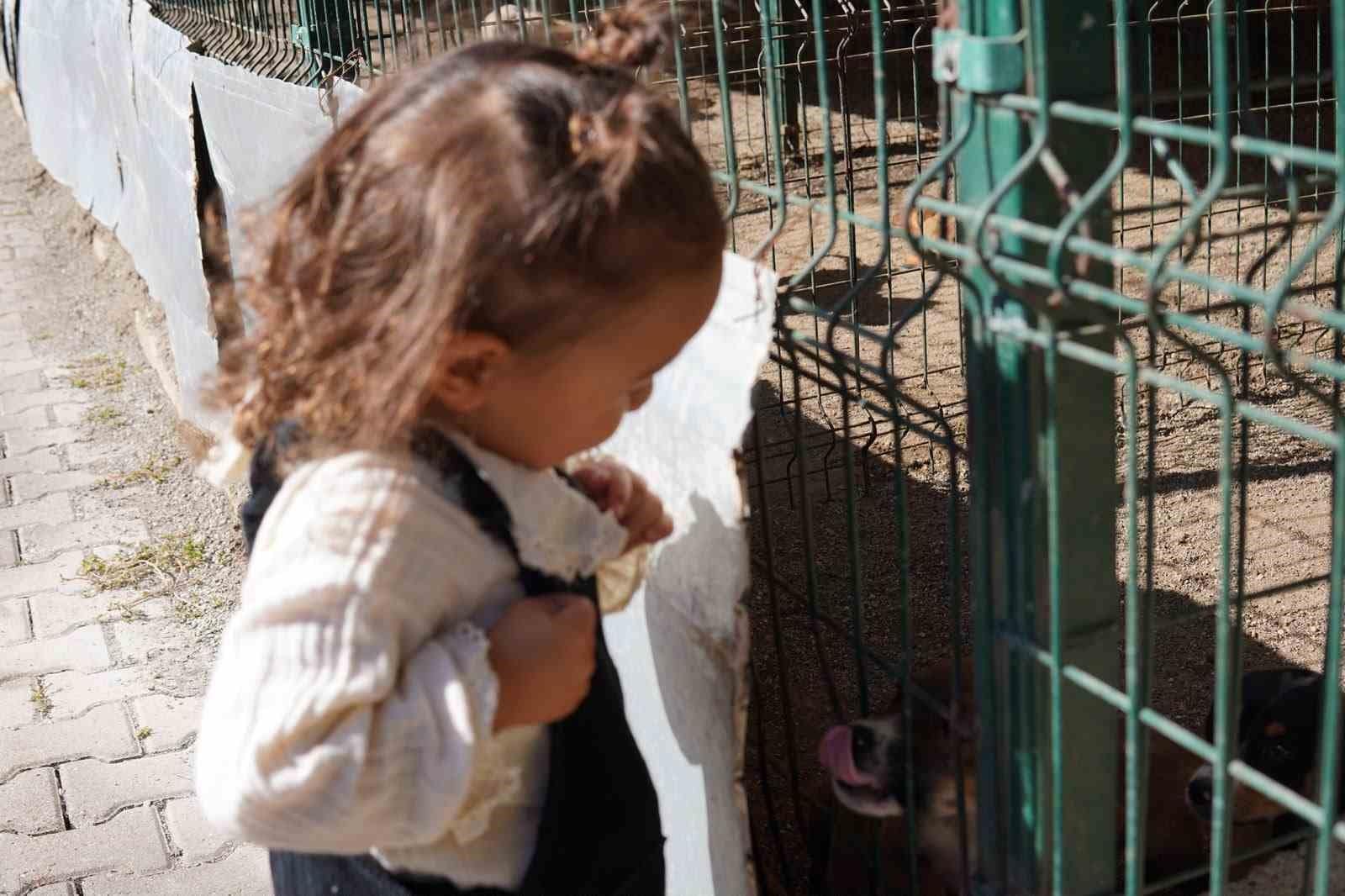 Minik öğrenciler hayvan barınağında hayvanlarla vakit geçirdi