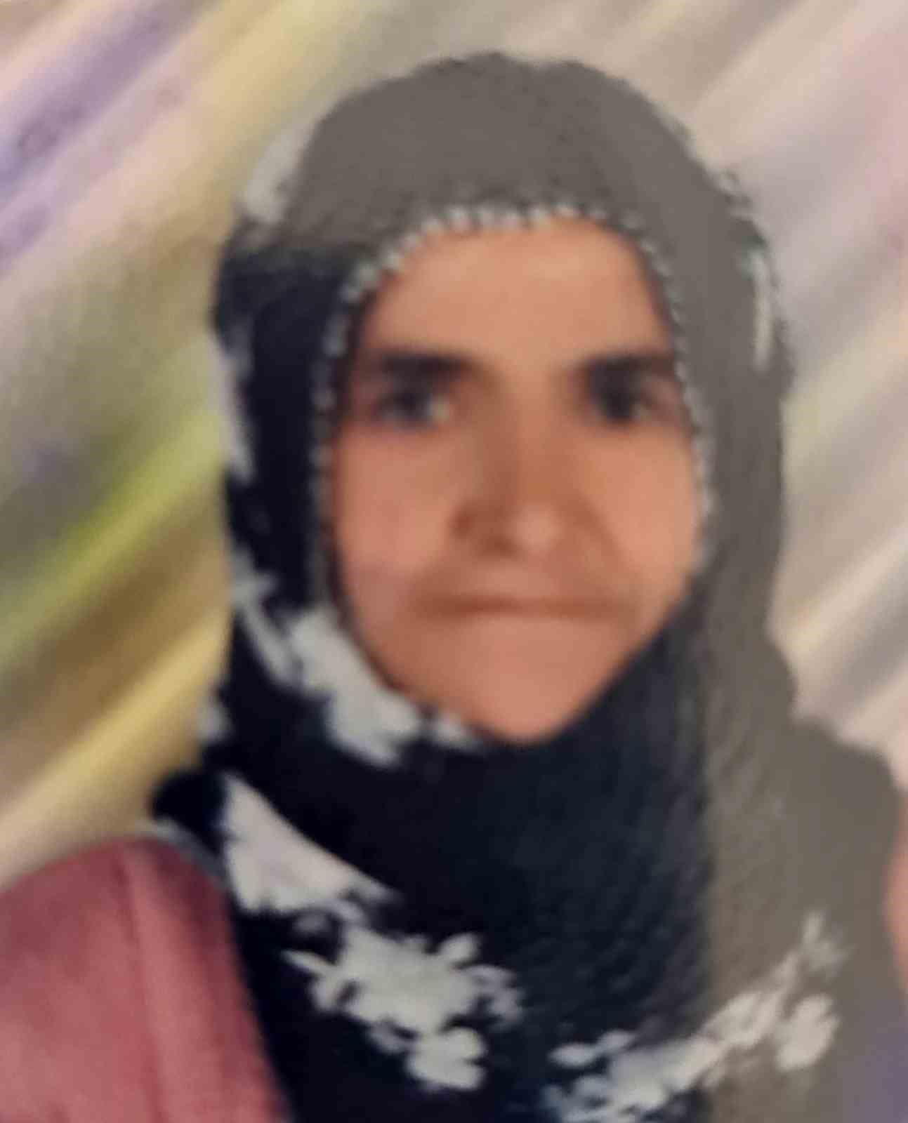 Tarsus’ta otomobilin çarptığı yaşlı kadın hayatını kaybetti