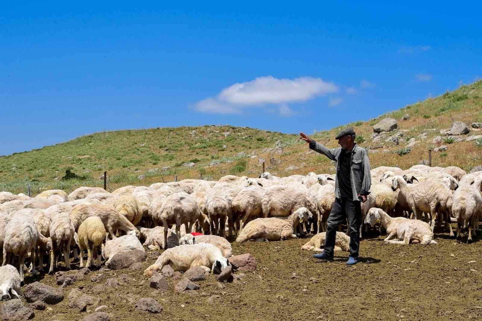 Malatya Büyükşehir Belediyesi 35 yıllık soruna neşter vurdu