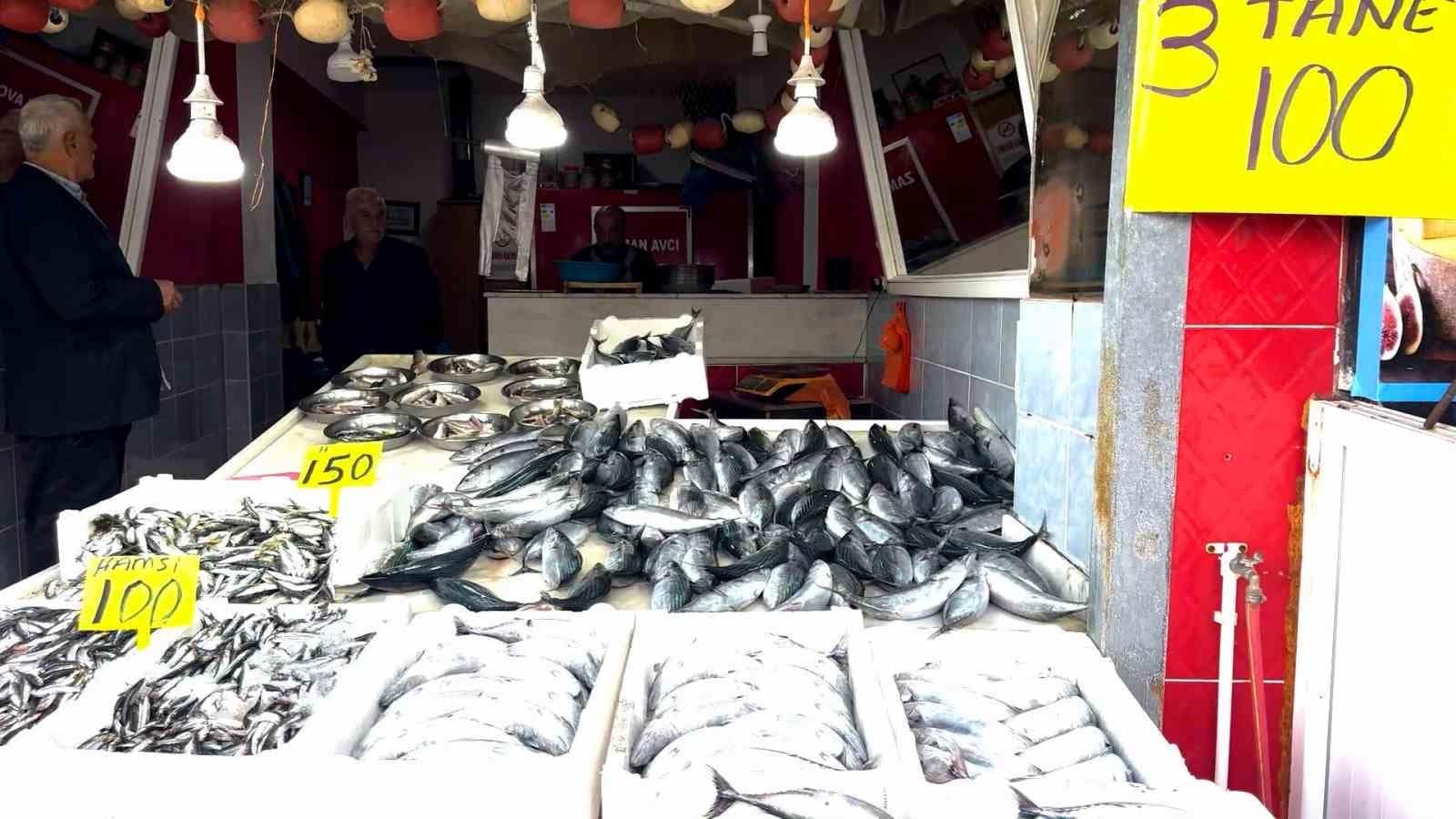 Rize’de palamutun 3 tanesi 100 TL’den satılıyor