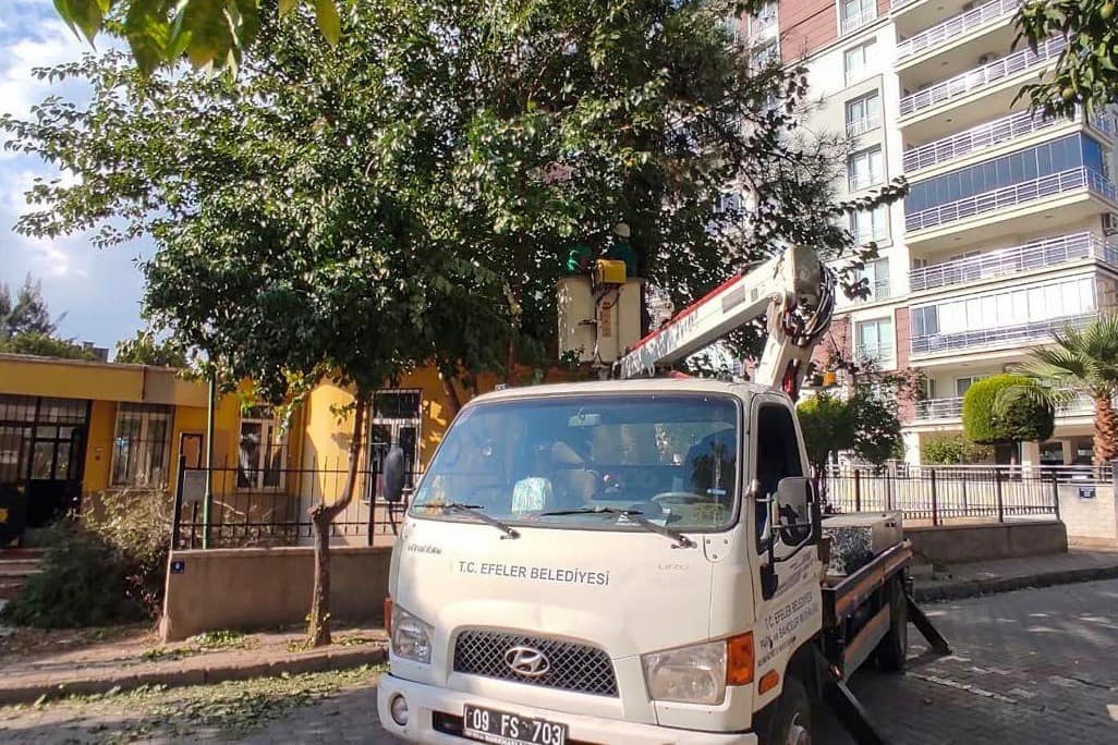 Efeler’de yeşil alanlara bakım