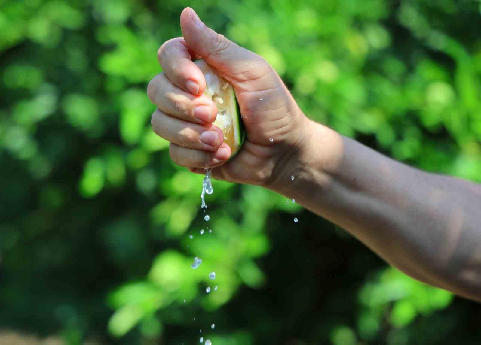 Karadeniz’de gemi trafiği durdu, Adana’da limon ve mandalina dalında kaldı