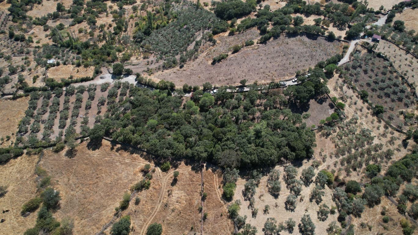 Manisa’da 500 yıllık mezarlıkta kapsamlı bakım çalışması