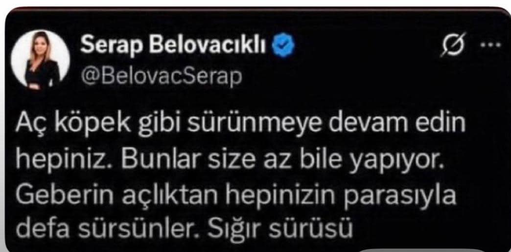 Gazeteci Serap Belovacıklı hakkında soruşturma başlatıldı