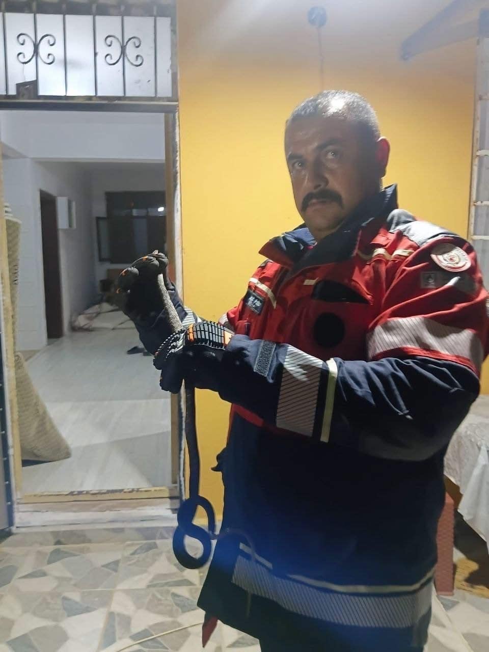 Hassa’da evde görülen yılan itfaiye ekiplerince yakalandı