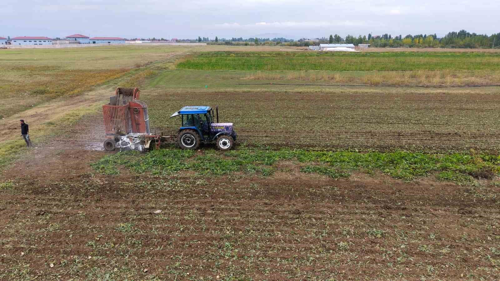 Muş ekonomisine pancardan 2 buçuk milyar TL’lik katkı