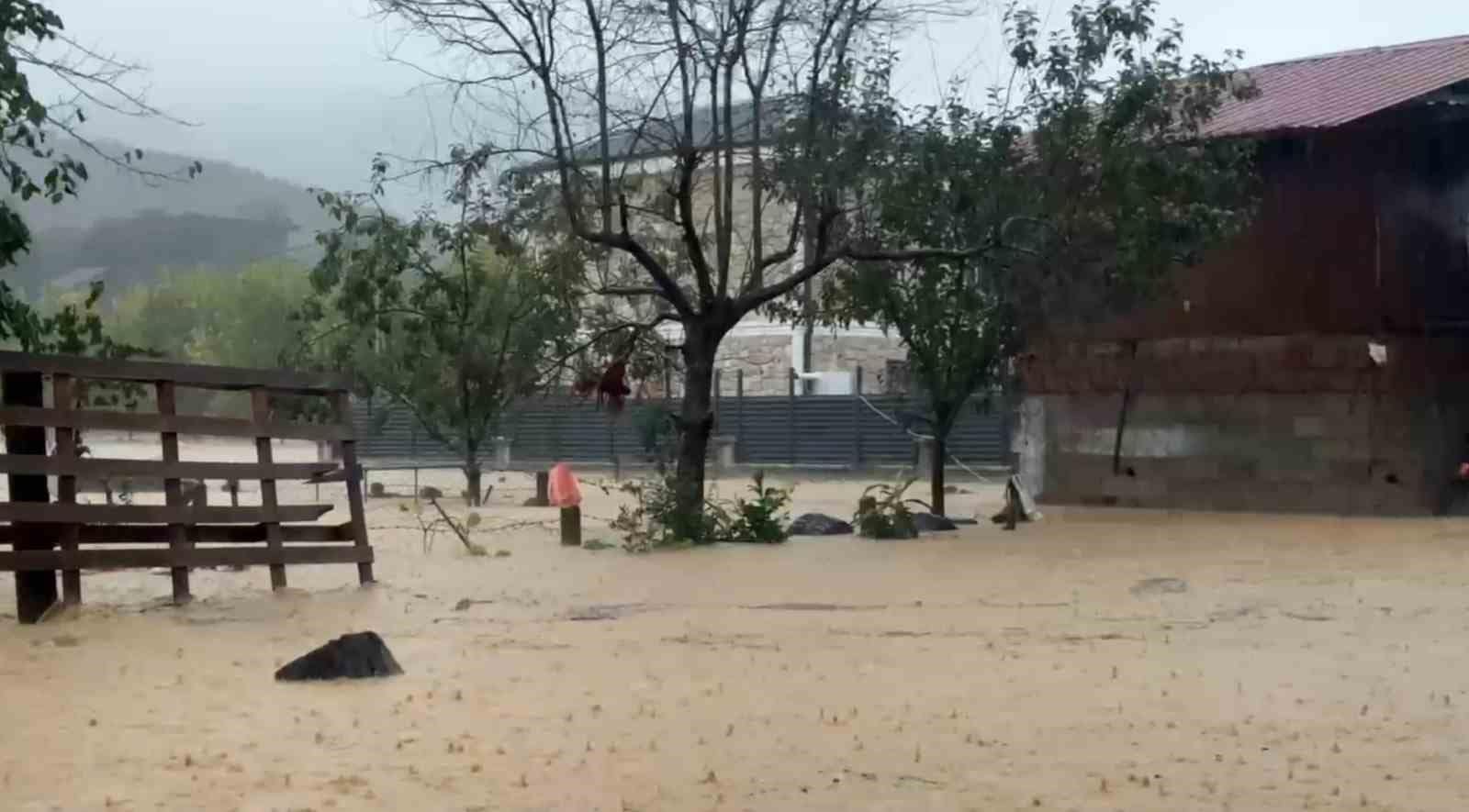 Sakarya’da sel bir mahalleyi sulara gömdü: 60 bin kanatlı hayvan telef oldu