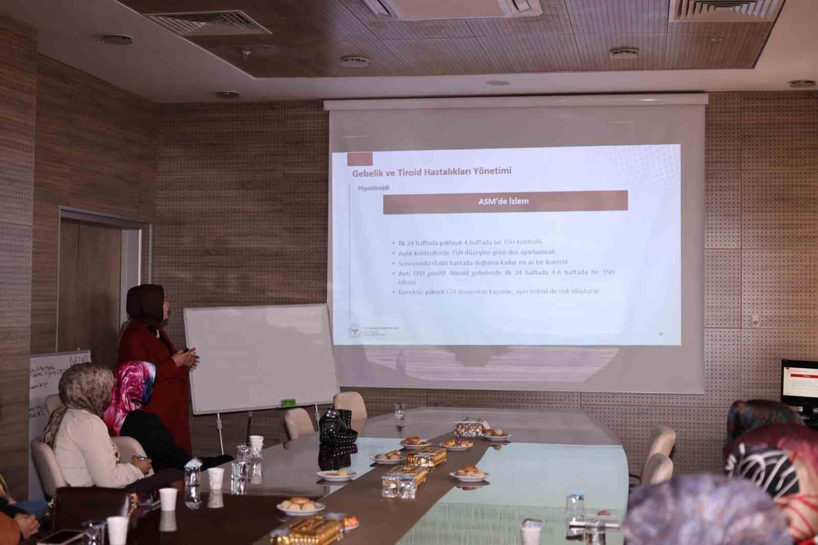 Bayburt’ta sağlık personeline gebelik ve anne sağlığı eğitimi