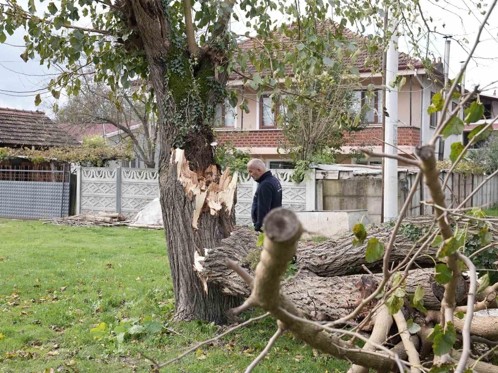 Düzce’de fırtınada devrilen ağaçlar kaldırılıyor