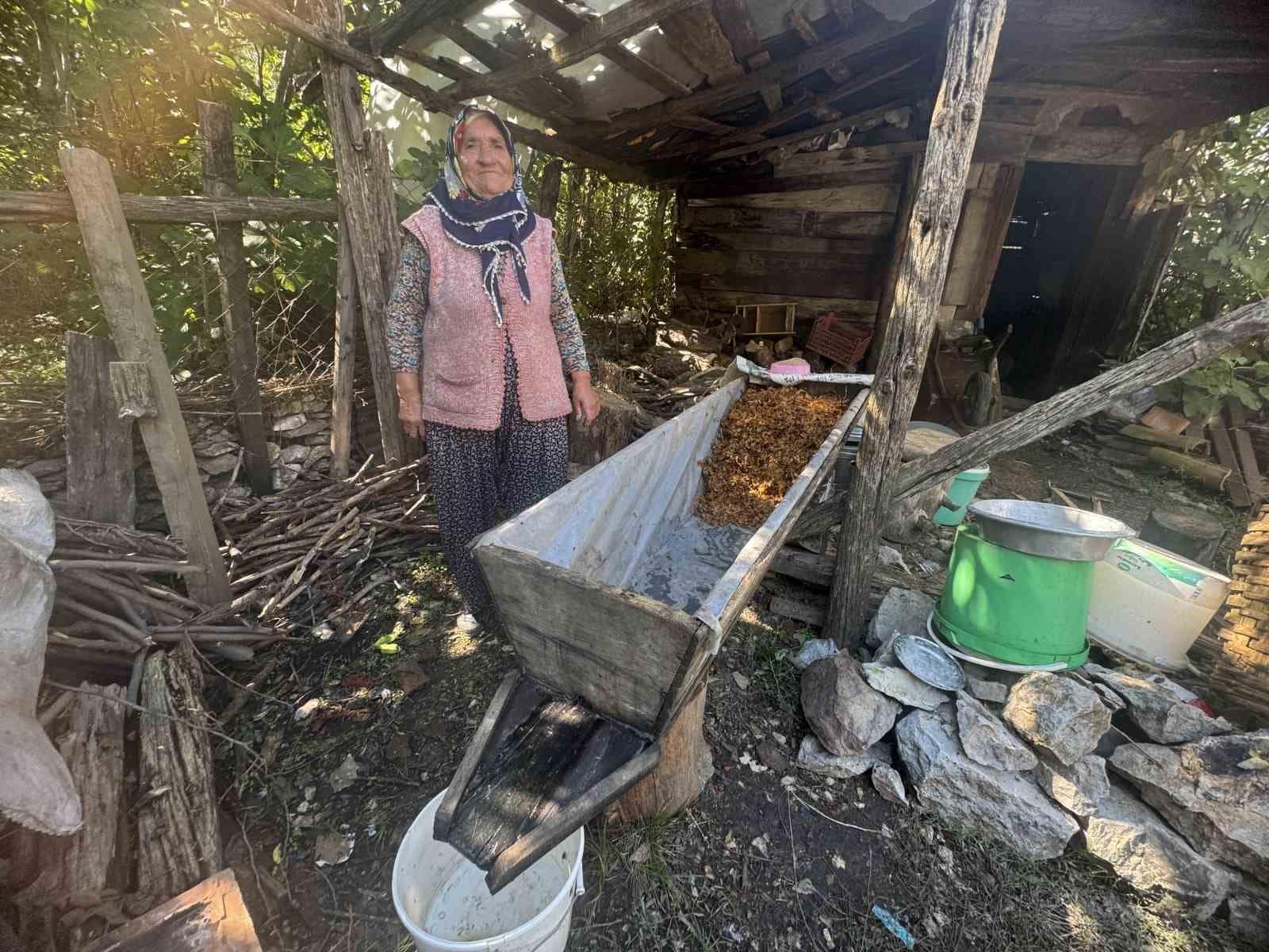 Sırrı meşe külünde saklı