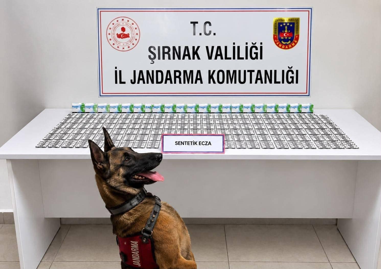 Şırnak’ta jandarmadan uyuşturucu ve aranan şahıslara operasyon: 12 tutuklama