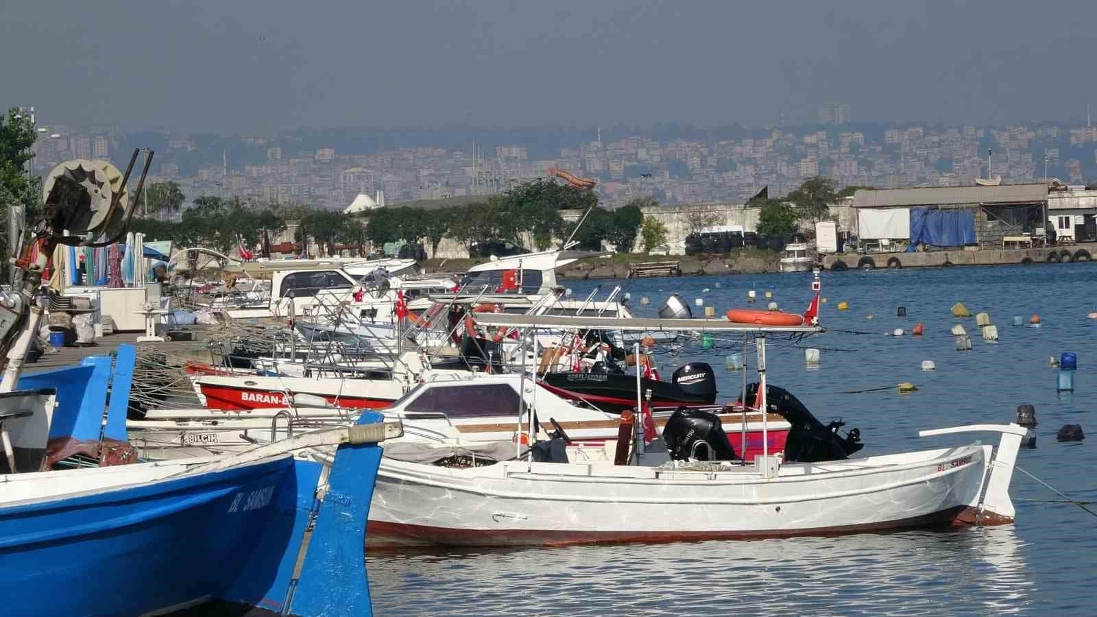 Karadeniz’de palamut alarmı: "Önüne ne gelirse yiyor, bir an önce hepsinin tutulması gerekiyor"