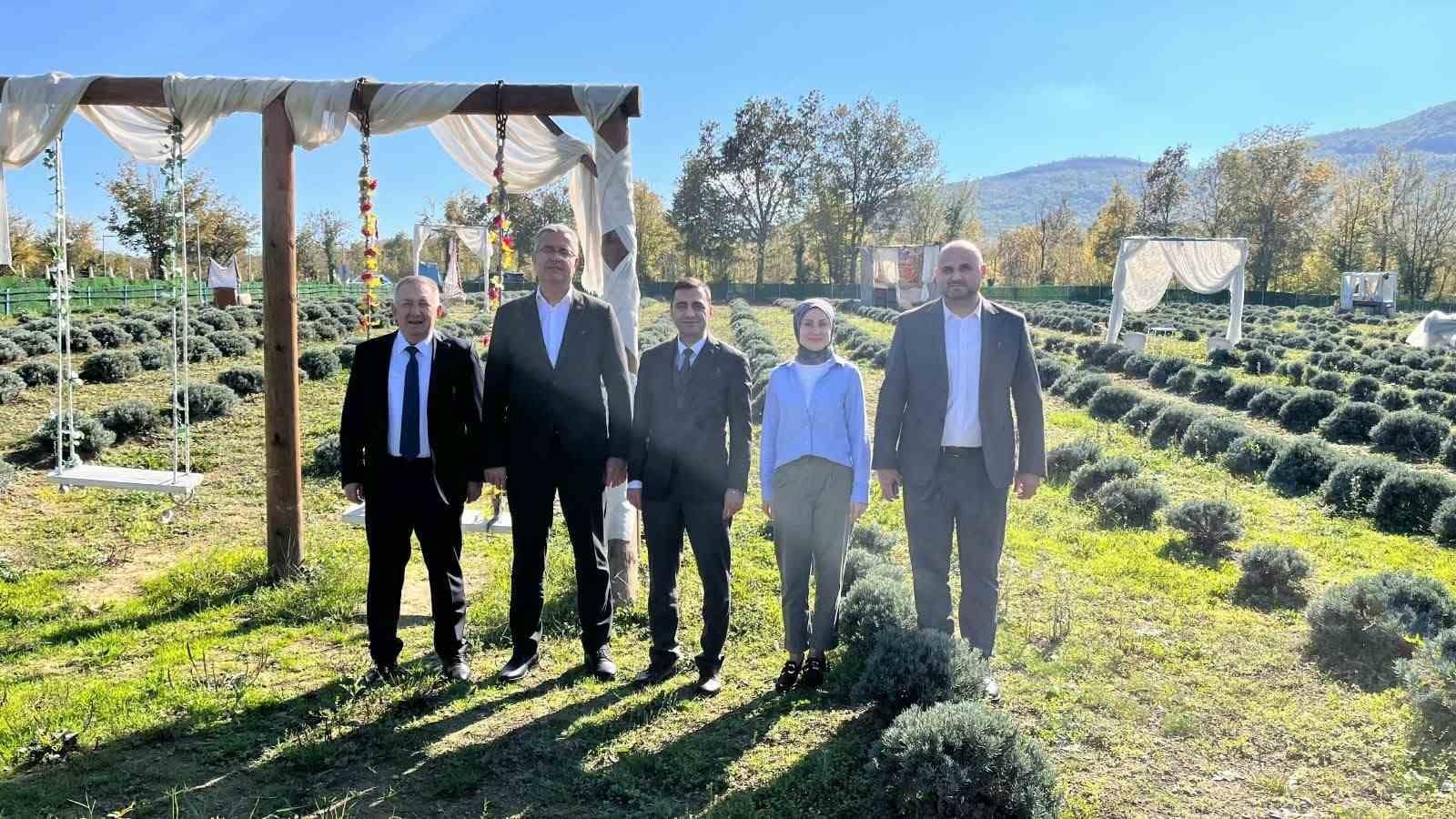 Samsun’da kadın üretici lavanta yetiştiriciliğiyle tarımsal çeşitliliğe katkı sağlıyor