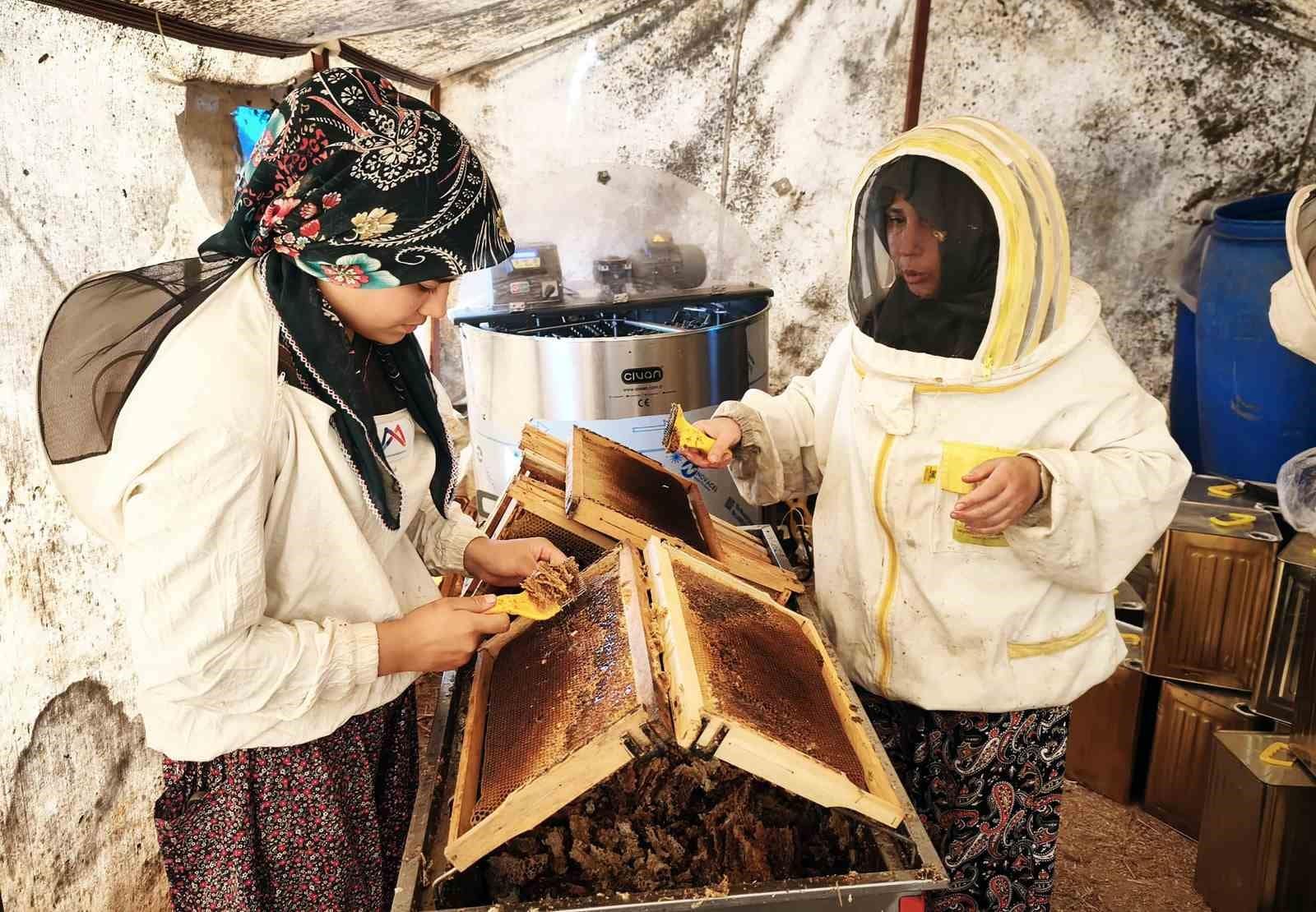 Çam balının başkenti Muğla’da glikozlu bal tepkisi