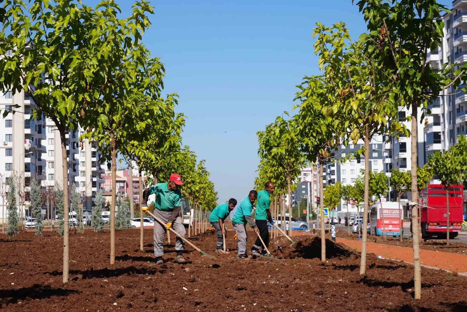 Diyarbakır’da yeşil bir kent için 9 bin ağaç ve 50 bin çalı toprakla buluştu