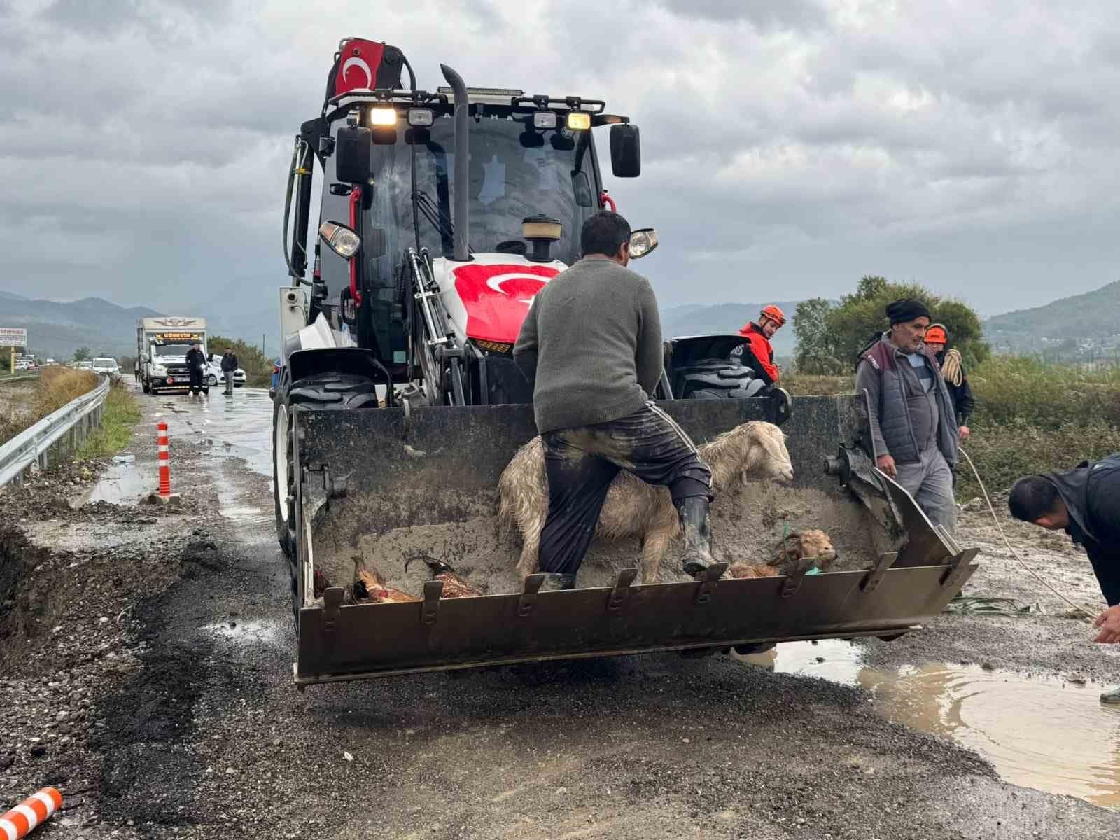Muğla Dalaman sele teslim oldu
