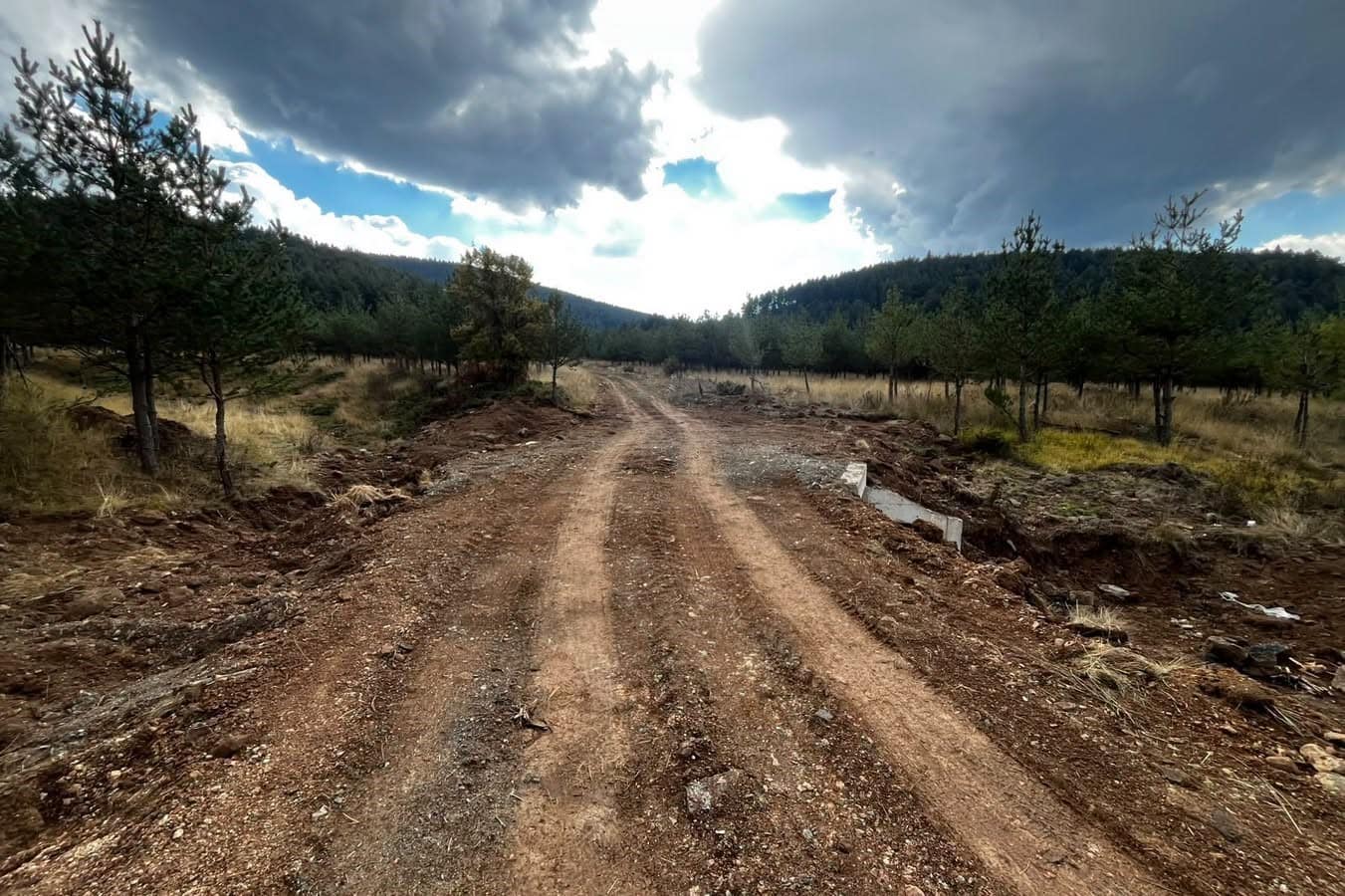 Bolu’da orman yangınlarına müdahaleyi kolaylaştıracak çalışma