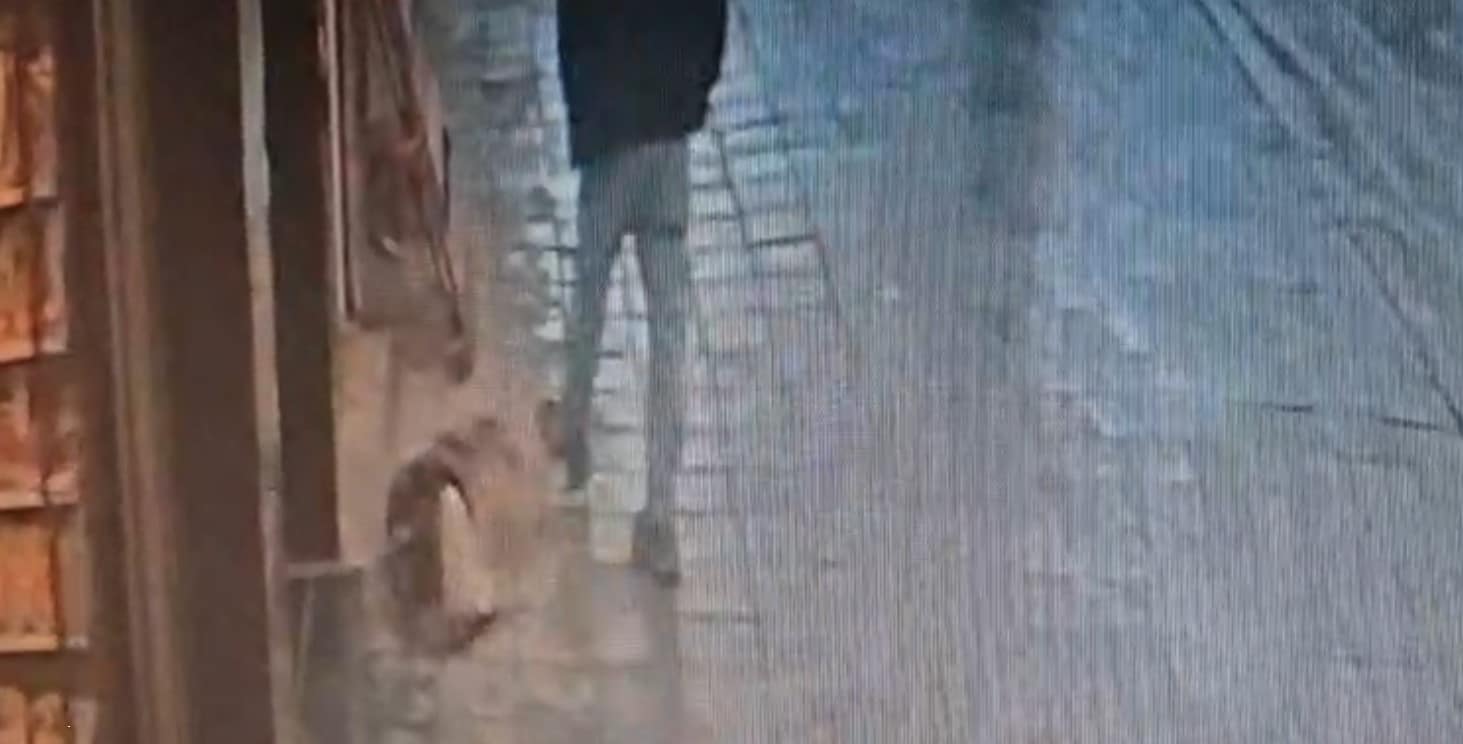 Avcılar’da uyuyan köpek, kendisine tekme atan adamı ısırdı