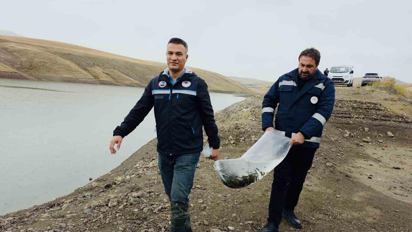 Van’ın su ürünleri sektöründen ekonomiye 25 milyon dolarlık katkı
