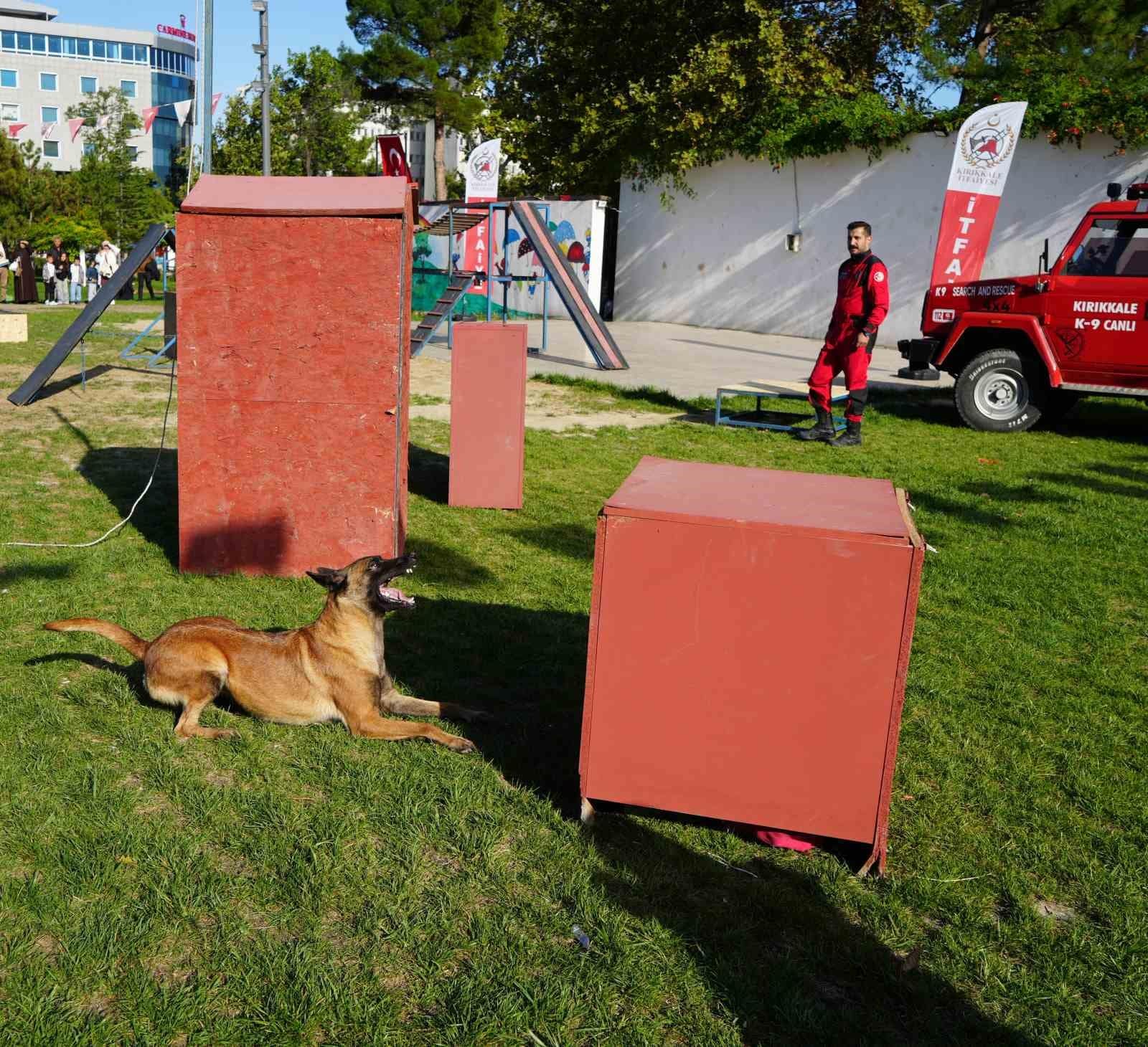 K9 köpekler hünerlerini sergiledi: Saklanan çocukları saniyeler içinde buldular