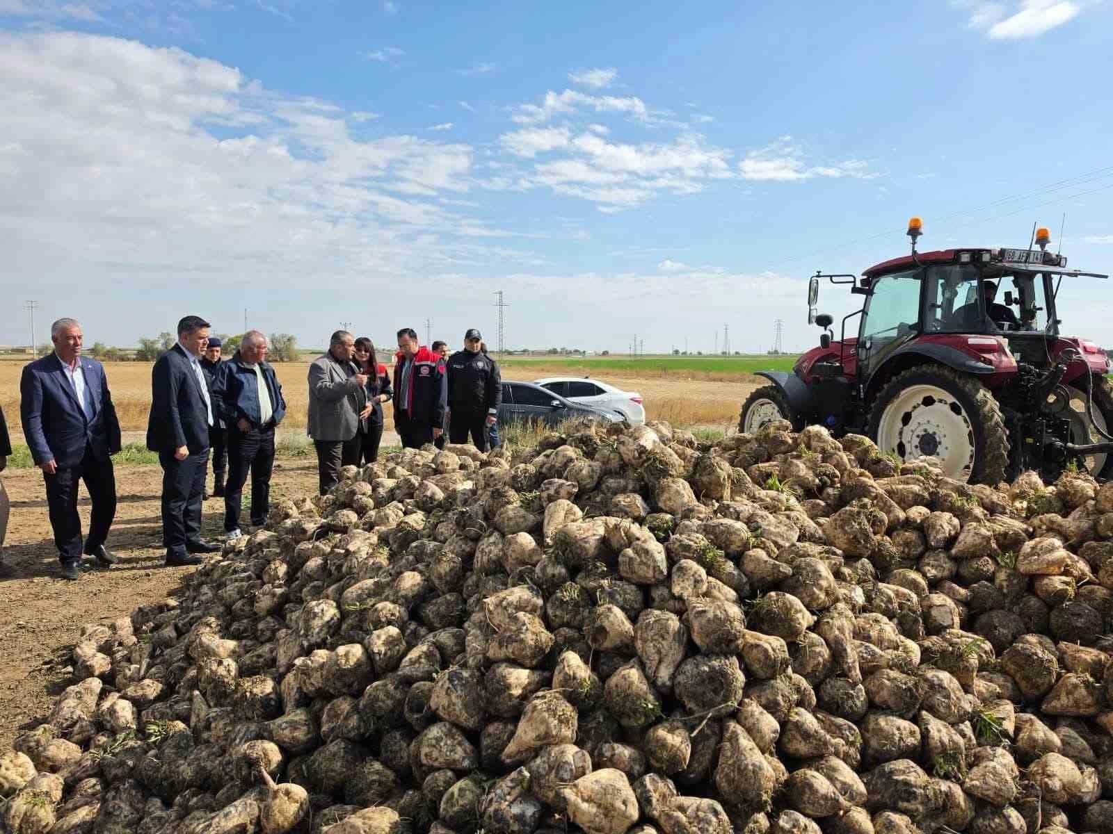 Sultanhanı’nda şeker pancarı hasadı başladı