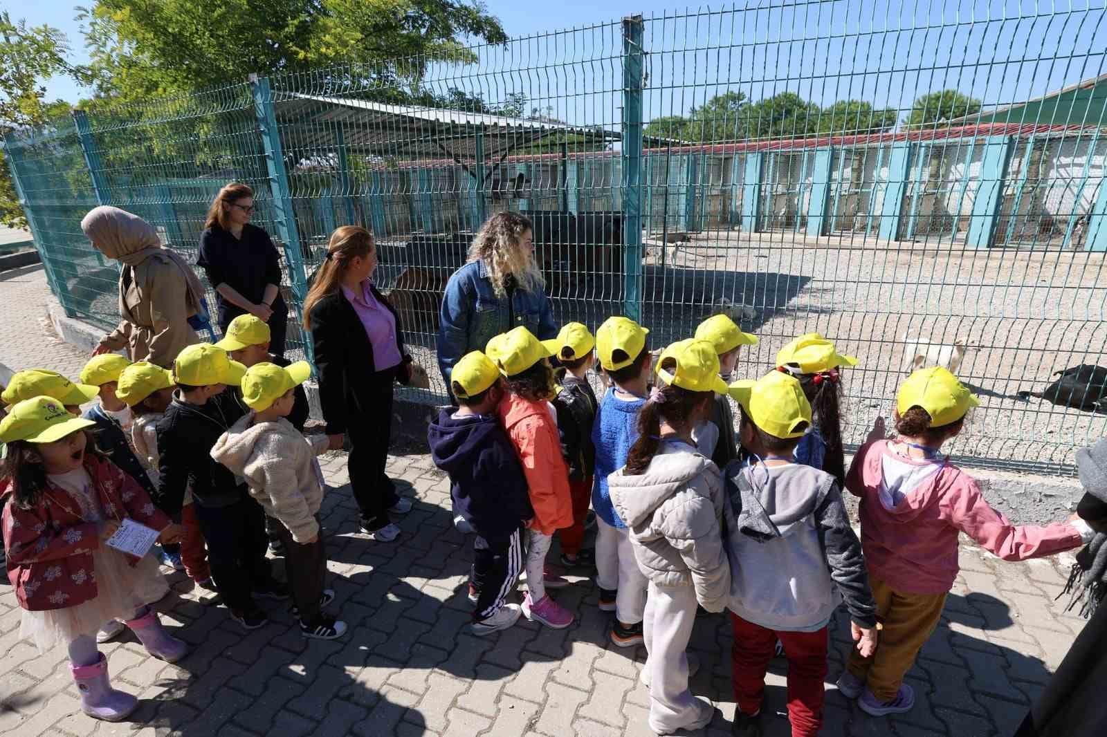 Minikler bakımevindeki hayvanlarla buluştu