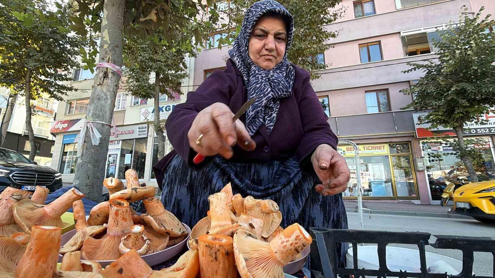 Bolu’da ormandan kova kova topluyor, pazarda kilosunu 600 liradan satıyor