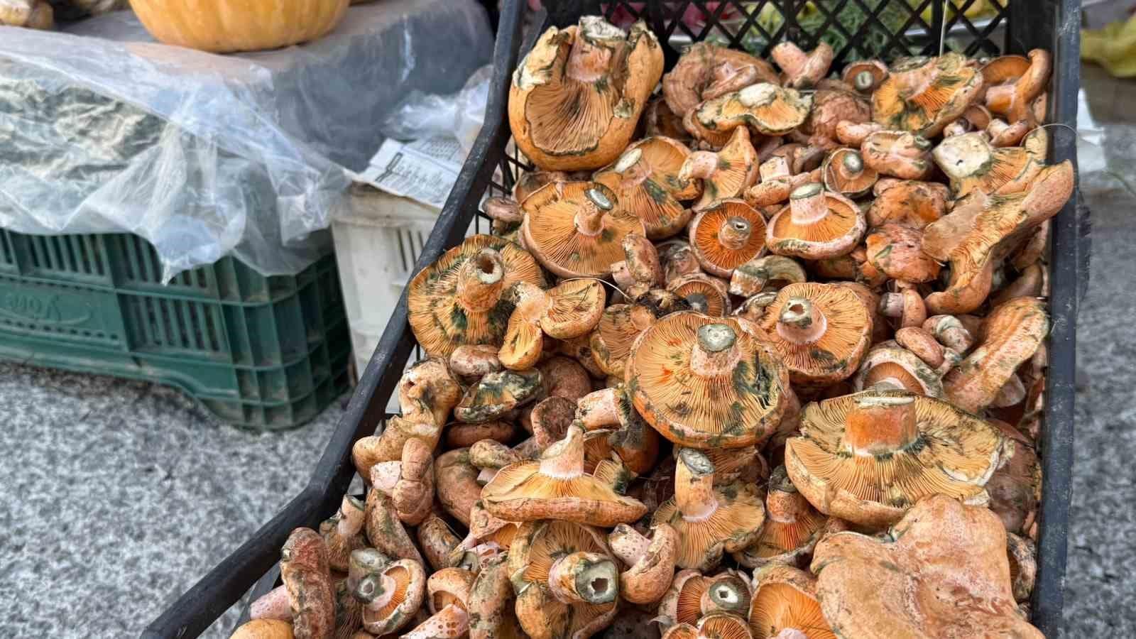 Menteşe’de ilk çıntarlar tezgahlarda