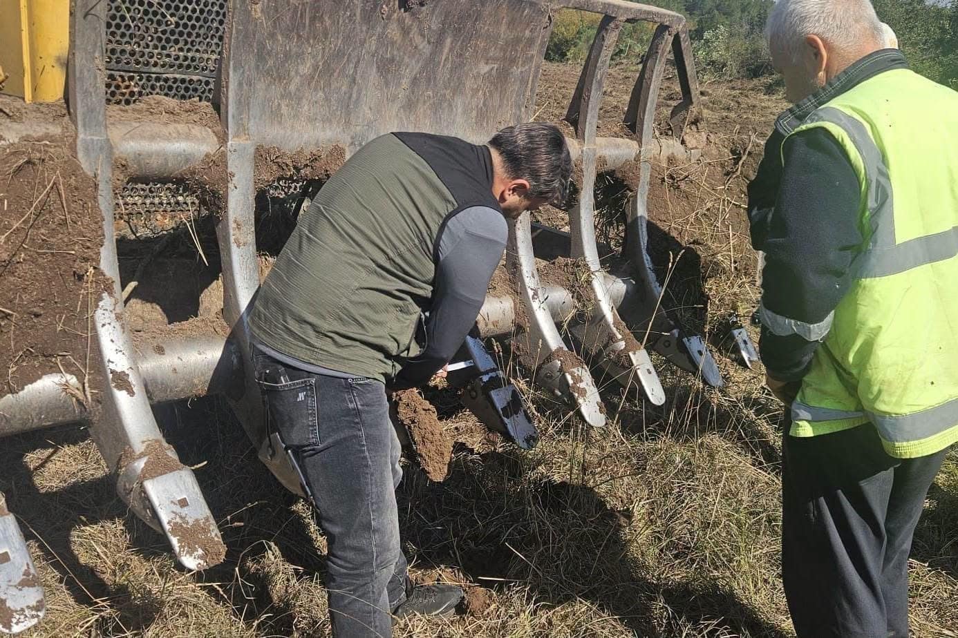 Gönen’e 250 hektarlık endüstriyel plantasyon sahası kuruluyor