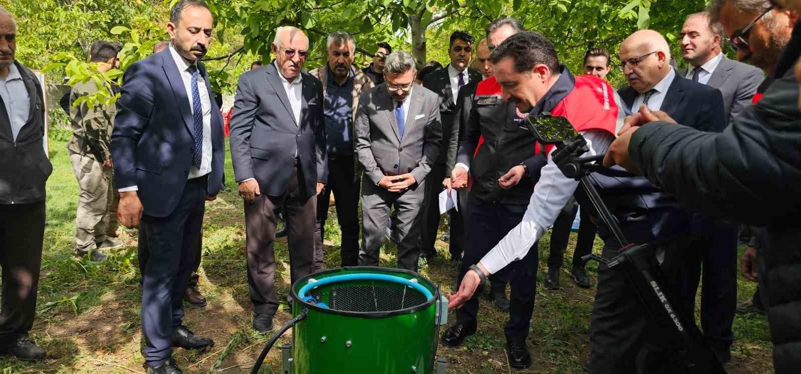 Adilcevaz’da ceviz hasadı başladı