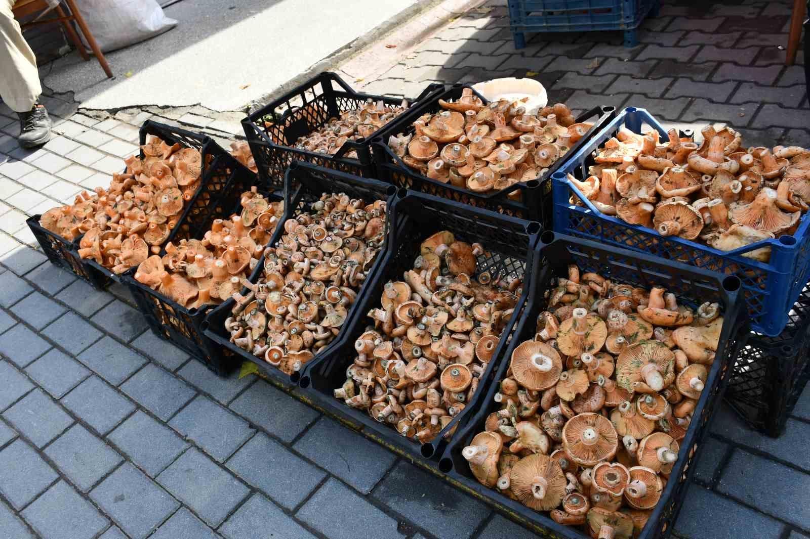 Vezirköprü’de kanlıca mantarı tezgahlarda