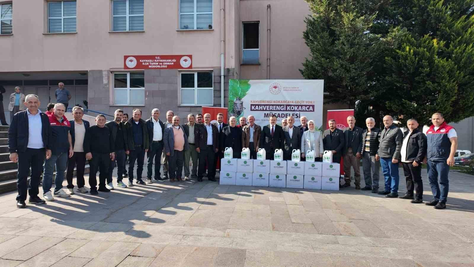 Fındık üretimini tehdit eden kokarcaya karşı önlem