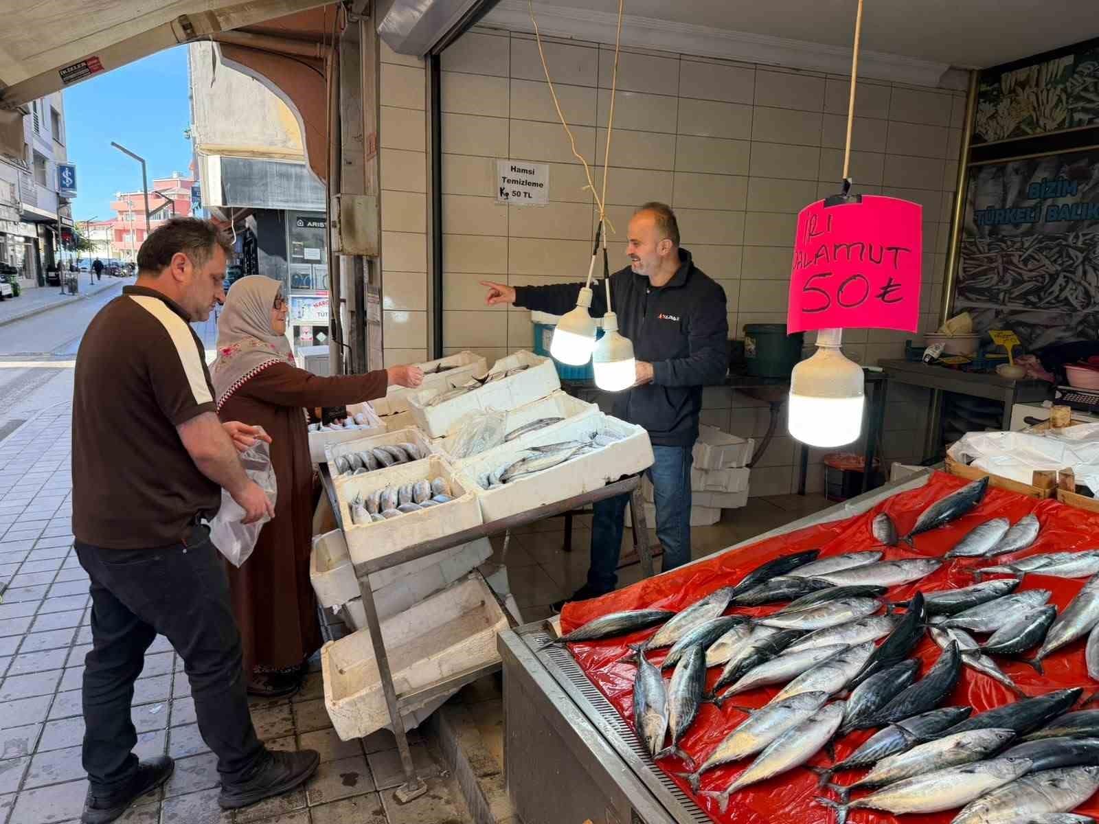 Türkeli’de palamutun adeti 50 liraya düştü