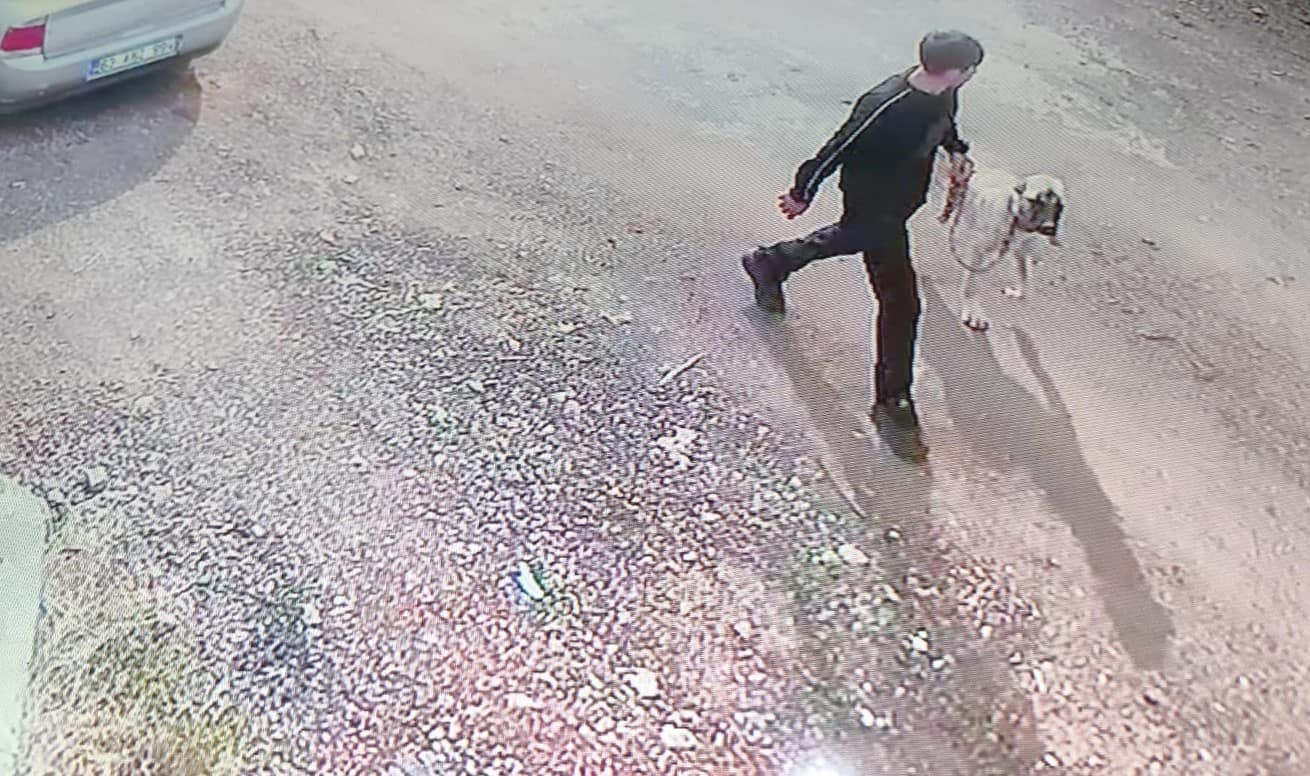 Siverek’te Kangal köpeğin çalınma anı kamerada