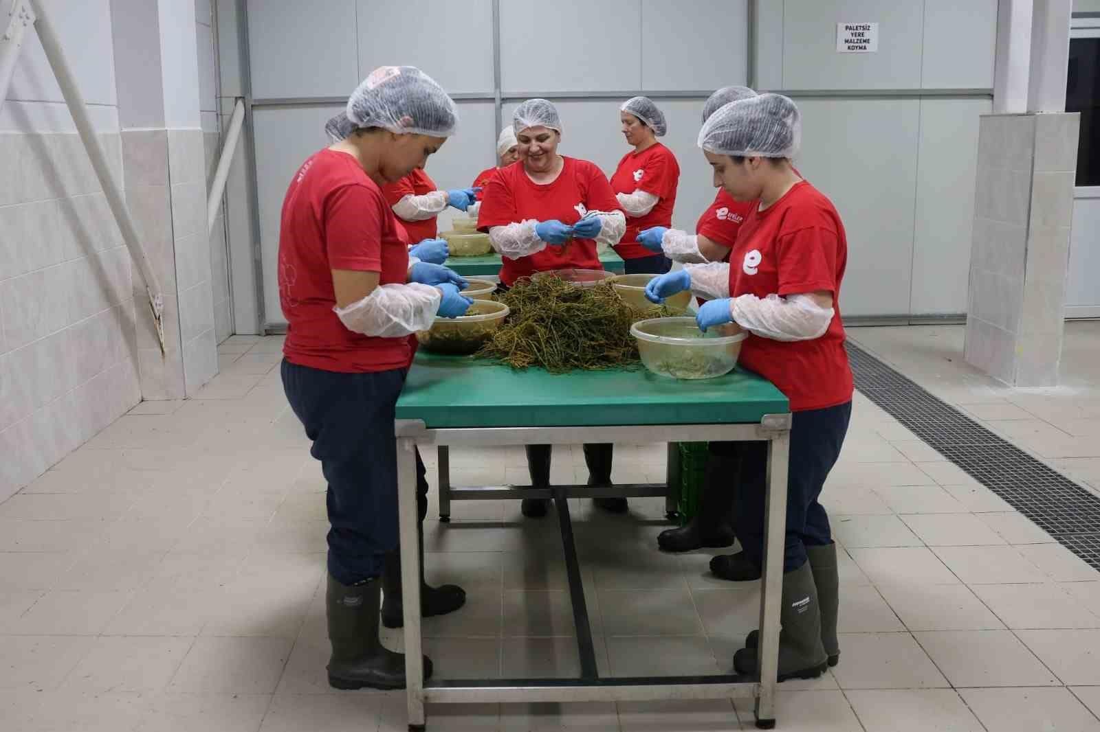 Efeler’in yöresel ürün çeşitliliği 63’e yükseldi