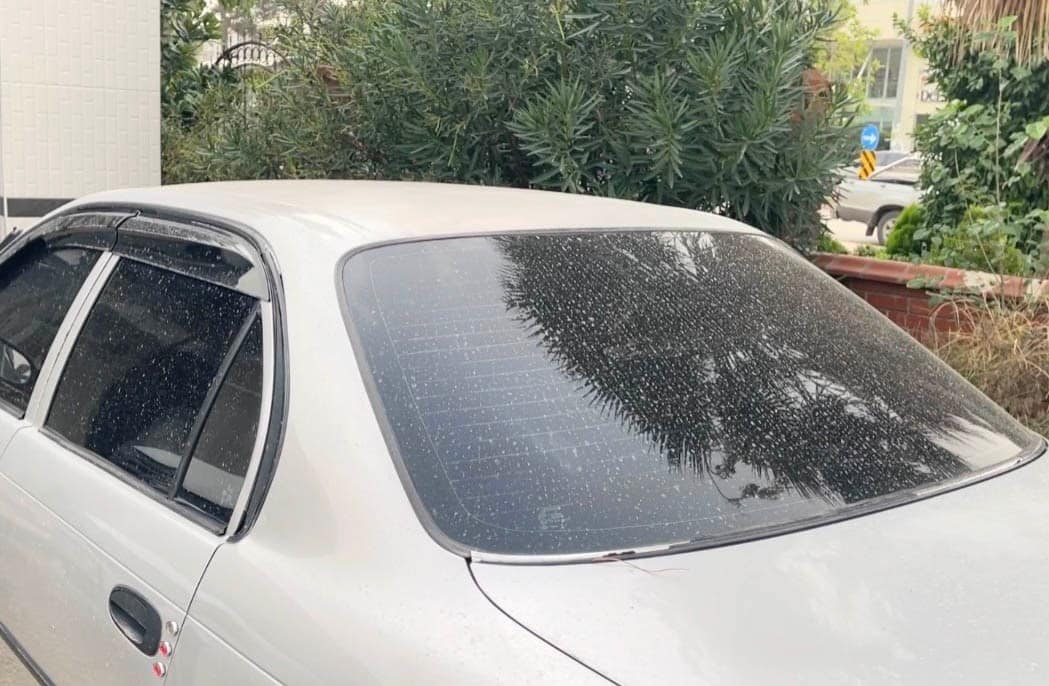 Osmaniye’de Suriye kaynaklı toz taşınımı etkili oldu