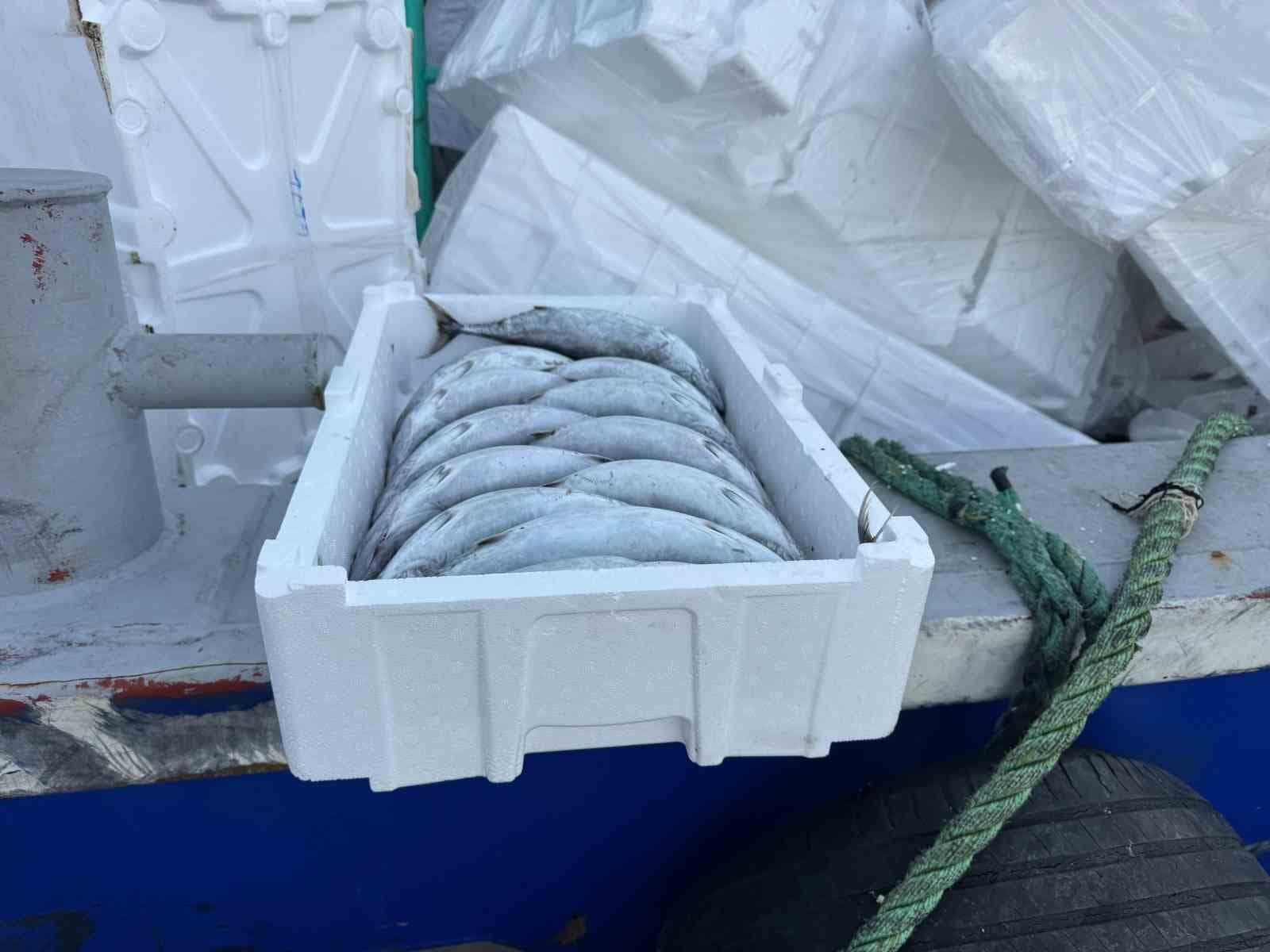 Strafor köpük kasasının fiyatı palamuttan 3 kat pahalı