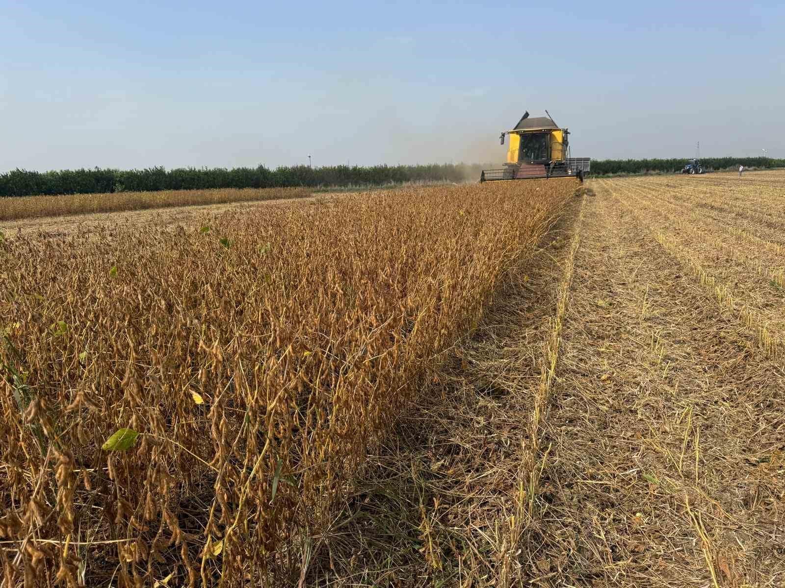 Adana’da soya hasadında biçerdöver ücretleri belirlendi