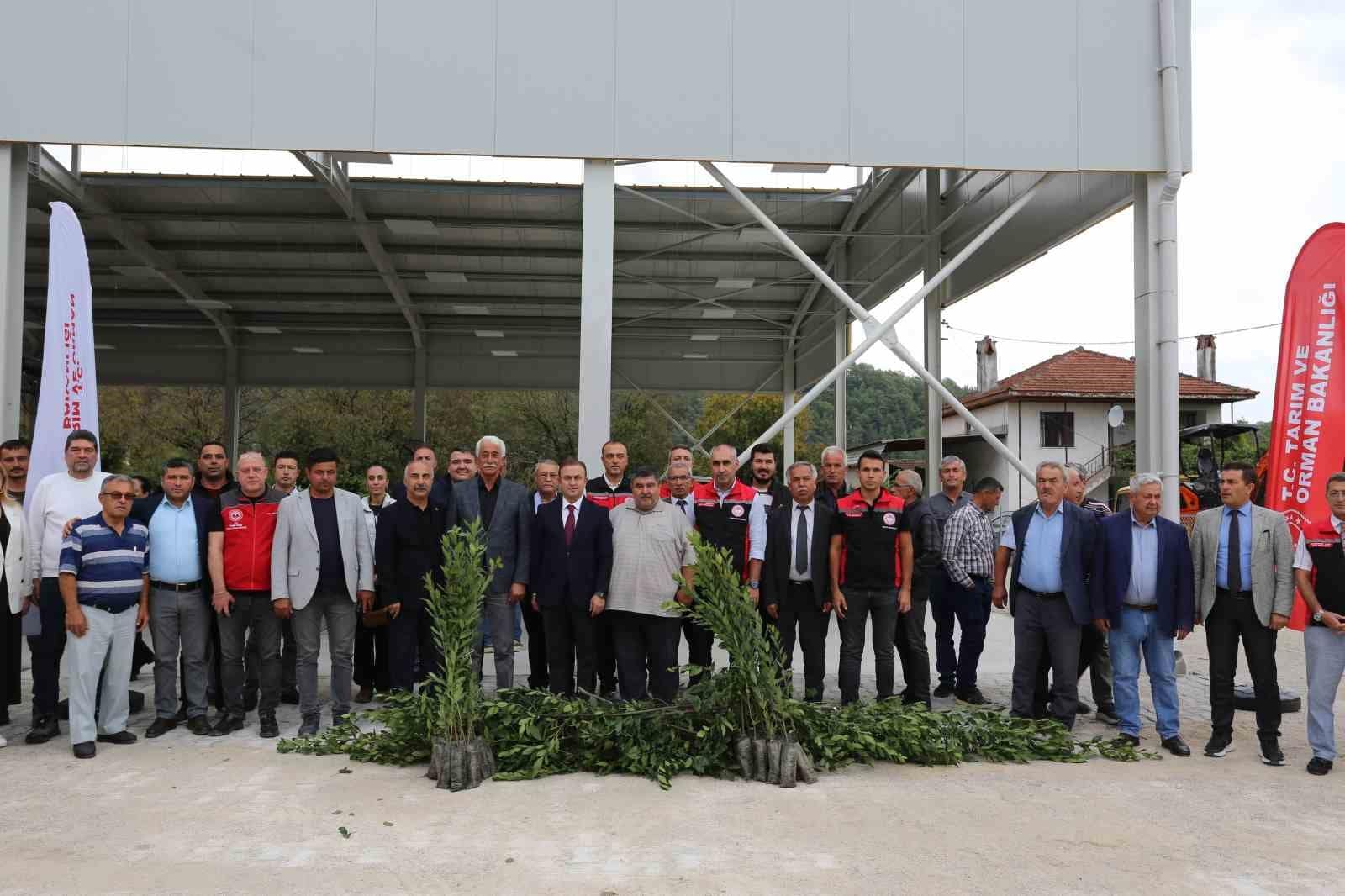 Muğla’da Defne ihracatından 75 milyon dolar bekleniyor