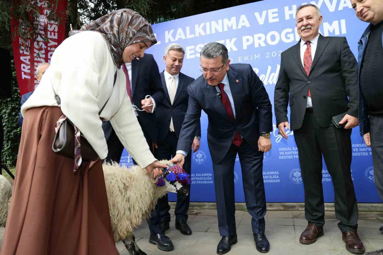 Trabzon’da hayvancılığa destek sürüyor