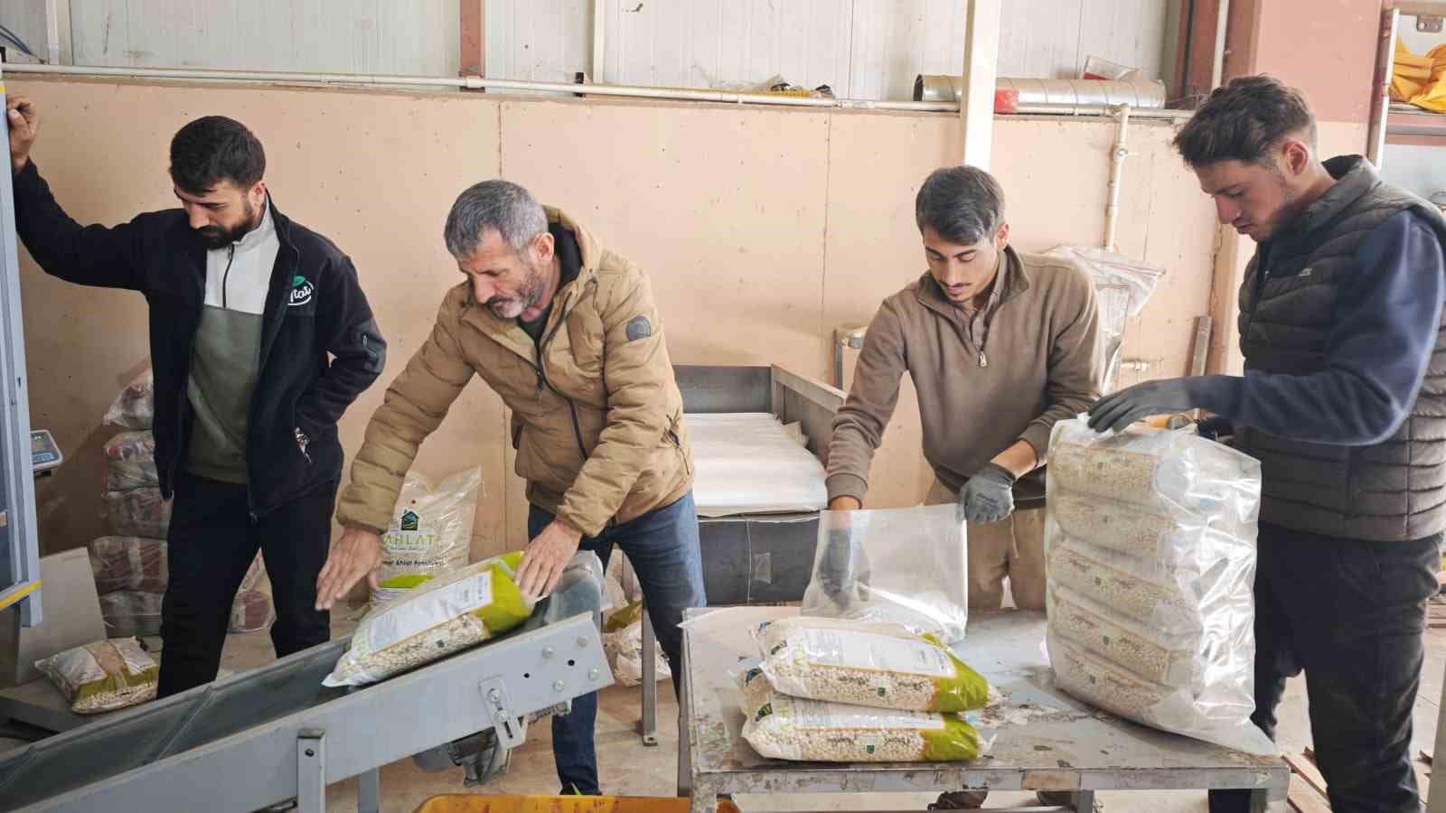 Bitlis, tohumluk kuru fasulye üretiminde Türkiye birincisi