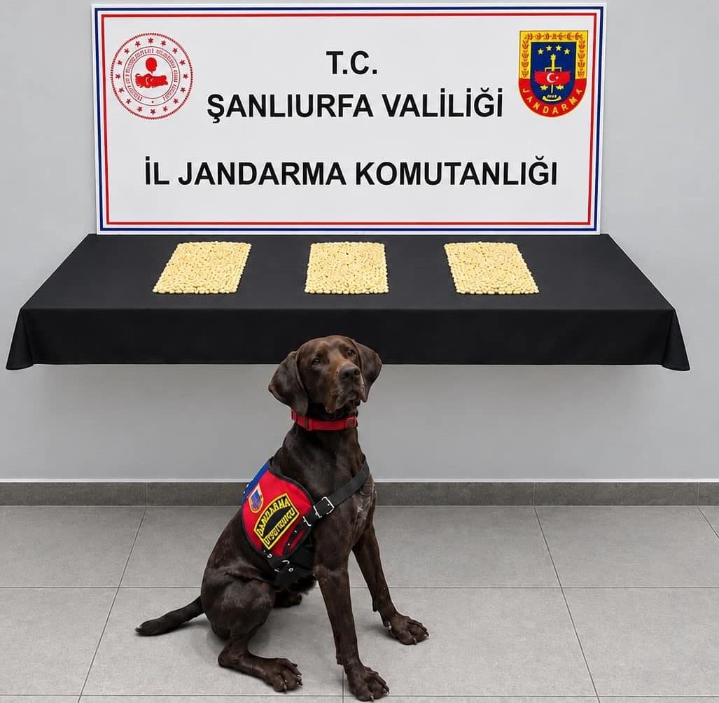Şanlıurfa’da 2 bin 970 Captagon hap ele geçirildi