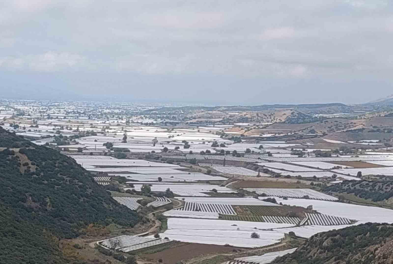 Sarıgöl’de binlerce ton üzüm örtü altında bekliyor